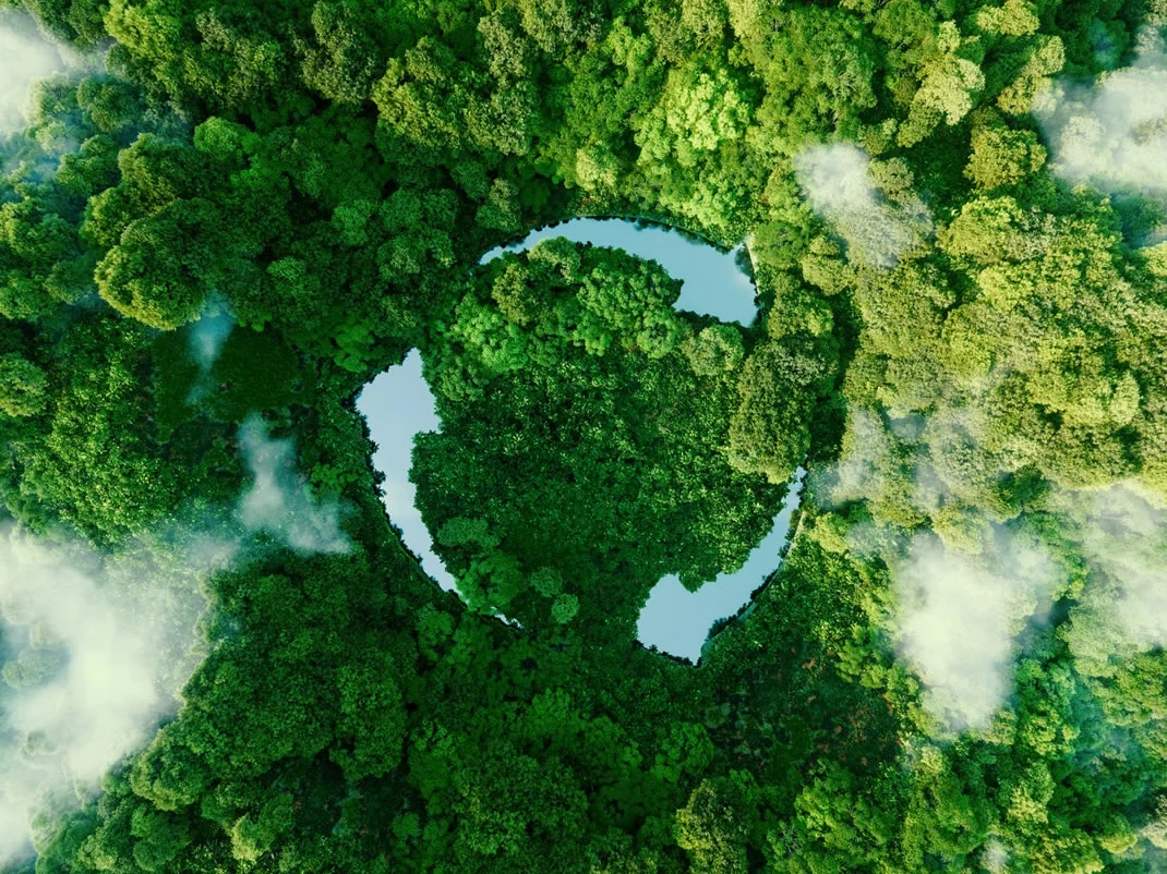 Vista aerea de bosque y lago, simbolo de sustentabilidad Nubrix